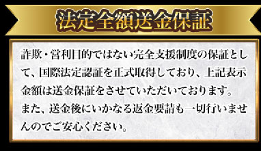 ビリオンプロジェクトの特徴。法定全額送金保証(国際法廷認証を正式所得)の矛盾点
