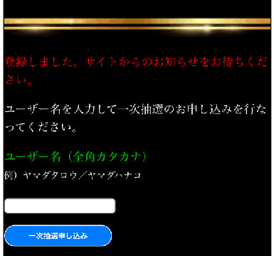 実際にビリオンプロジェクトで登録検証してみた結果!抽選参加フォーム