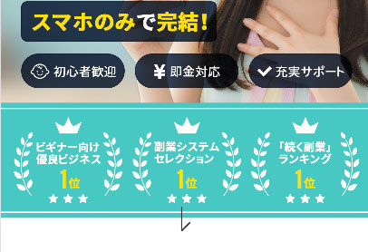 次世代副業システムの特徴 様々な副業ランキングで1位