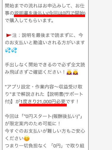 実際に次世代副業システムで登録して検証した結果!後払いマニュアル購入を伴う副業