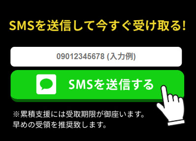 実際に国連の累積支援対象者に選ばれたで登録検証してみた!