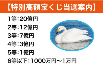 実際に市町村振興宝くじに登録をして検証した結果!