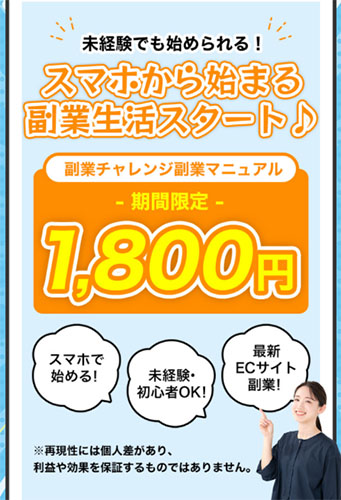 紹介されるのはマニュアル購入を伴う副業