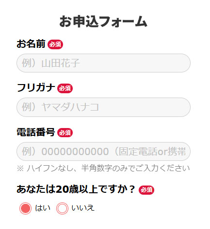 実際にspot-onで登録して検証した結果！申し込みフォーム
