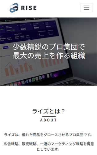 株式会社ライズ　公式HP
